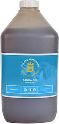 Eclipse Eclipse Arnika Muskel-, Knochen- & Gelenkheilmittel Gel 2700ml Eclipse Eclipse Arnika Muskel-, Knochen- & Gelenkheilmittel Gel 2700ml