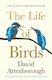 Life Of Birds - Harpercollins Publishers - Paperback / Softback