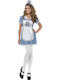 Carnival Costume Nurse