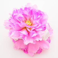 Premium Floral Hair Clip Hibiscus Dream Boho Ap...