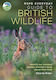 Rspb Everyday Guide To British Wildlife - Bloomsbury Publishing Plc - Paperback / Softback