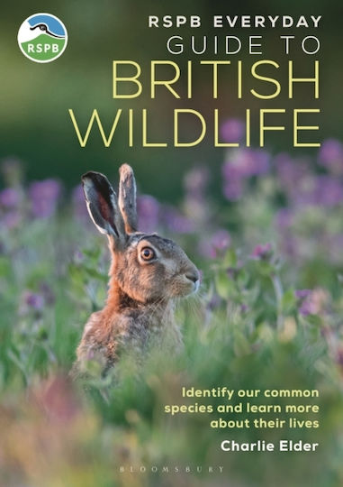 Rspb Everyday Guide To British Wildlife - Bloomsbury Publishing Plc - Paperback / Softback