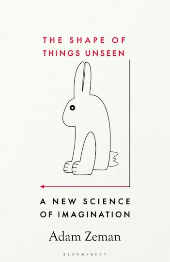 Shape Of Things Unseen - Bloomsbury Publishing Plc - Hardback