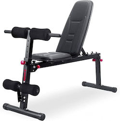 Adjustable Abdominal Workout Bench