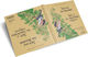 Jack And The Beanstalk / Jack Y Las Habichuelas Magicas - Dragonfly Bilingual Books - Hardback