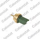 Ws3015 Temperature Valve Intake Citroen C2 C3 C4 Mini Cooper Green Vernet