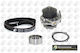 Set of Camshaft Belt Water Pump 1.2cc Fiat Doblo 223 Punto 176 Punto 188 Lancia Ypsilon 843 46526243 46805736 Tb2210cpk-10166