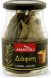 Ανατολή Δάφνη