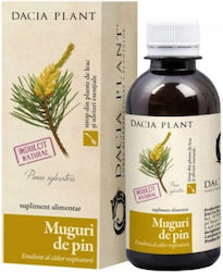 Dacia Plant Sirop Muguri De Pin 200ml Dacia Plant Sirop Muguri De Pin 200ml