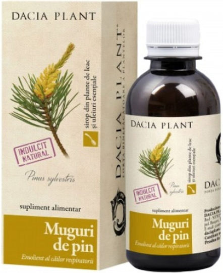 Dacia Plant Sirop Muguri de Pin pentru Copii și Adulți 200ml