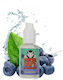 Vampire Vampire E-Zigaretten Aromakonzentrate 30ml 1 Stück Blueberry