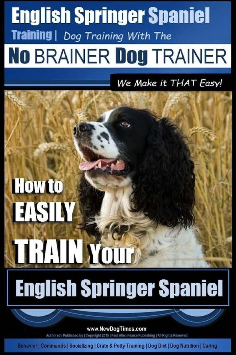 english-springer-spaniel-training-dog-training-with-the-no-brainer-dog