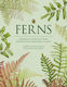 Ferns - Hardie Grant Us - Hardback