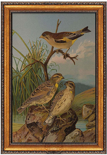 Frame Atc 299dvn1156 50x70cm Multi Wallity Vertical Plastic Canvas