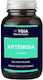 Ygia Artemisia 10:1 D R 500mg 60 Capsules