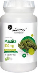 Aliness Mastika 500mg 60 κάψουλες Aliness Mastika 500mg 60 κάψουλες