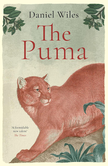 The Puma: 'a Formidable New Talent' The Times The Puma: 'a Formidable New Talent' The Times
