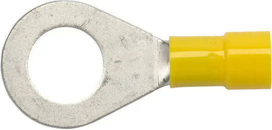 Insulated Eyelet End 4-6mm2/m10 Em00343 100pcs