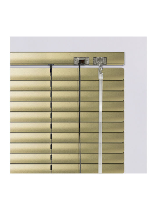 Elite Blinds 836053 Aluminum Blinds in Gold Color Width 100cm Height 100cm