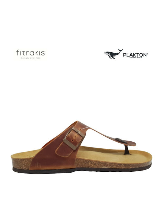 Plakton