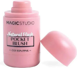Magic Studio 