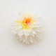 Premium Dahlia Hair Claw Clip Boho Style & Abso...