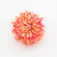 Premium Dahlia Hair Claw Clip Boho Style & Abso...