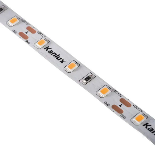 Led Strip 12v Lcob 8w/m 12 Ip00-nw 760lm/m 4000k Neutral Color 33366