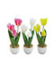 Topfpflanze 3 Tulpen 34cm 6 Stück