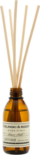 Zielinski & Rozen Elektrisches Gitarren Diffusor Set 212ml