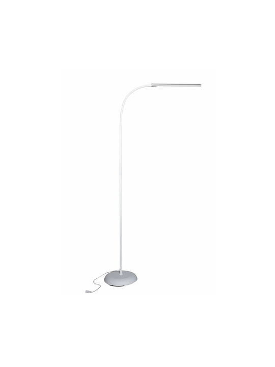 Maul Lampadare De Podea LED Albă