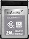 ExAscend CFexpress 256GB Class 10