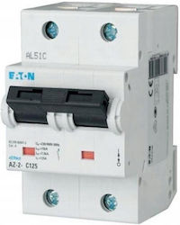 Adapter-Schalter 2p D 25a 25ka Ac Az-2-d25 174503
