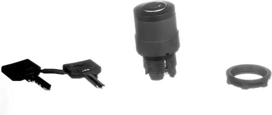 Switch Drive 2 Switch Key 455 Without Self-return Zb5ag4