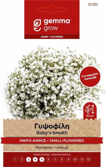 Gemma Семена Gypsophila