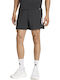 Sport Herren Shorts Schwarz