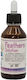 Evia Parrots Feathers Solution 20ml