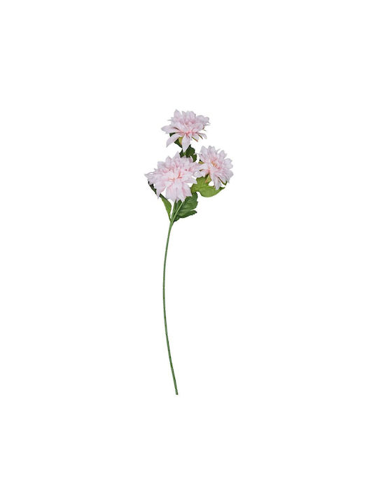 Florista Ντάλια Ανοιχτό Ροζ Ροζ Ύψος 72 Cm