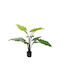 Изкуствено Растение Alocasia 120см A31145
