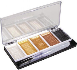 Set 5 Stück Aquarell Metallische + Pinsel Aquab...