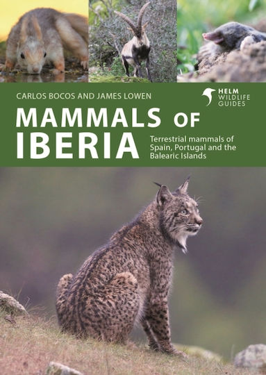 Mammals Of Iberia - Bloomsbury Publishing Plc - Paperback / Softback