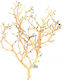 Tropical Aquarium Wood Piece Aquadeco Coral Tree S 10–20 Cm