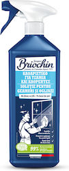 Briochin Επαγγελματικό Καθαριστικό Spray Τζαμιών 750ml Briochin Επαγγελματικό Καθαριστικό Spray Τζαμιών 750ml