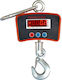Professional Crane Scale with Weighing Capacity 300kg and Accuracy 100g