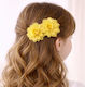 Set 2 Haarspangen mit Blume Gelbe Ember