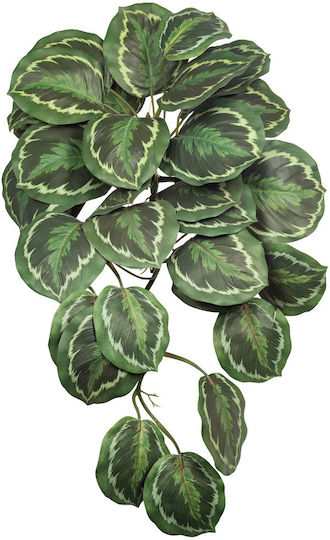 Plante Agățate Artificiale Calathea 60cm A26933