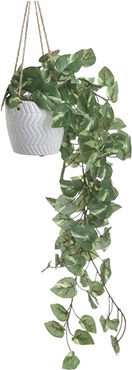 Inart Hanging Potted Ivy Plant Height 11x40/80cm