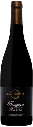 Vin Bourgogne Pinot Noir Roșu Sec 750ml