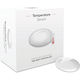 Geyer Temperatursensor