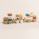 Wooden Train Geometric Shapes